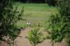 photo12_small.jpg
