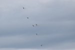 Patrouille Suisse