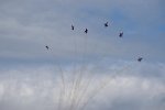 Patrouille Suisse