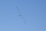 PC-7 Team SUI