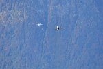 F/A-18 Hornet, Fliegerschiessen