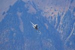 F/A-18 Hornet, Fliegerschiessen