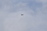 Pilatus PC-6 Turbo-Porter