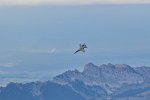 F/A-18 Hornet Solo Display