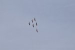 Patrouille Suisse