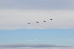 Patrouille Suisse