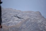 F/A-18 Hornet, Fliegerschiessen