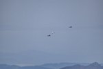 Live Mission F/A-18 + Pilatus PC-24