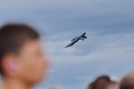 F/A-18 Hornet