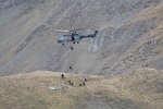 Sonderoperationskräfte (KSK)
