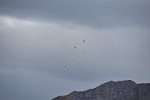 Patrouille Suisse