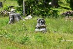 DSC 0505