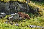 Unteralptal / Andermatt