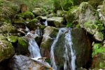 Intschi - Arnisee