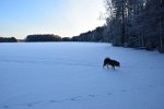 DSC 0032