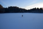 DSC 0053