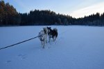 DSC 0056