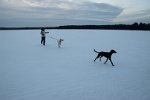 DSC 0118