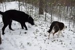 DSC 0176