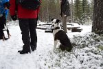 DSC 0195