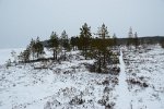 DSC 0230