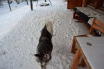 DSC 0269