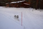 DSC 0367