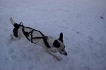 DSC 0368