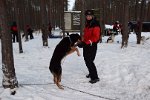 DSC 0375