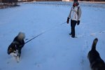DSC 0420