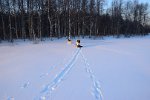 DSC 0423