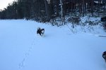 DSC 0484