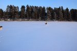 DSC 0510
