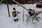 DSC 0515
