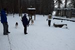DSC 0546