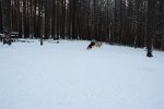DSC 0587