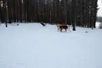 DSC 0588