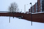 DSC 0779