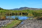 zur Plage du Lotu