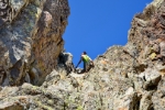 zum Monte Tolu