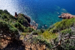 Girolata