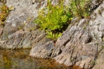 Gorges de Spelunca