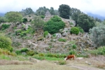Filitosa, Prehistoric site