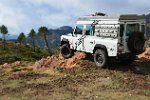 Landy of Corse 2013