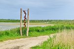 Strand Schillig