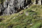zum Cirque de Troumouse