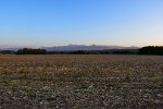 Au Revoir, les Pyrénées
