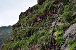 von Agulo zum mirador de Abrante