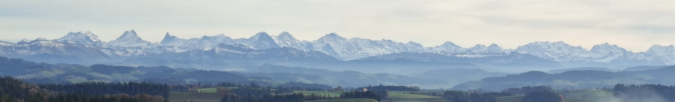 Kuran's bewegendes Web