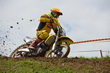 MCSchlatt2012